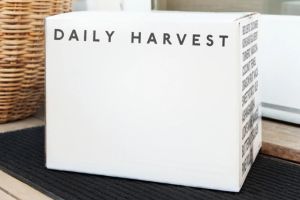 Daily Harvest review 2024: an honest look at this organic, vegan meal service