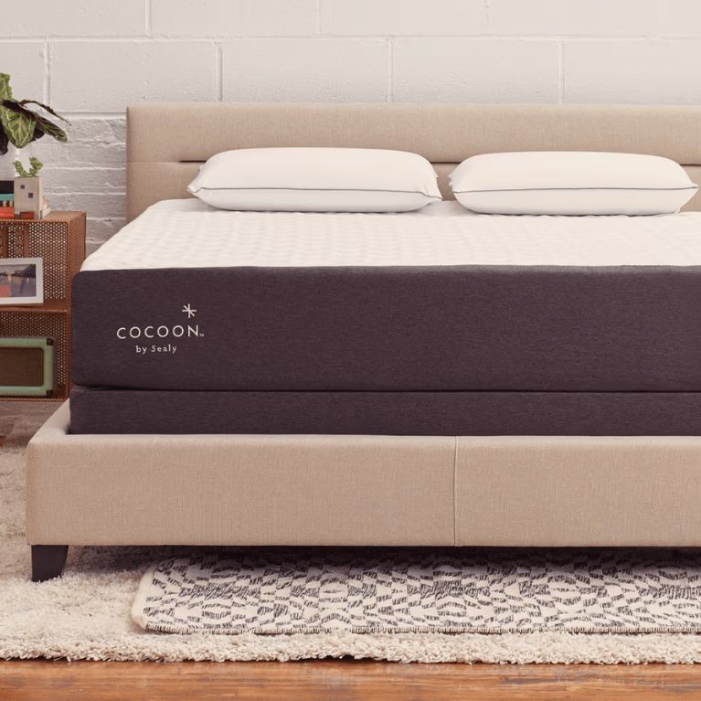 Cocoon Chill Memory Foam