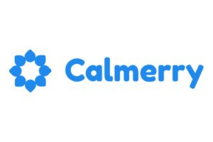 Calmerry review 2024: How to know if the online therapy platform is right for you